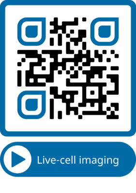 live-cell imaging cellule biologia