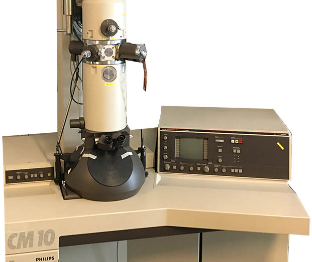 Microscopi elettronici ricondizionati, seconda mano, microscopi elettronici a scansione, microscopi elettronici a trasmissione, tem, sem, XL30, XL20, XL40, CM10, CM100, CM20, Morgagni