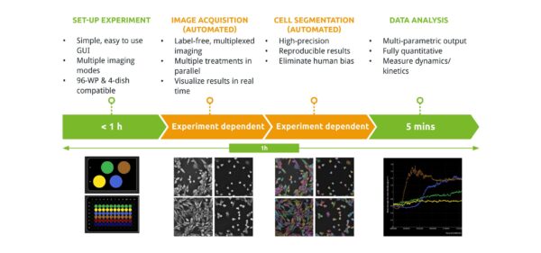 nanolive workflow live-cell imaging label free