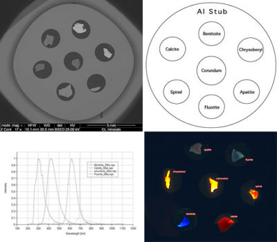 EM-Tec RXS-7CL standard di prova per luminescenza catodica, 7 materiali su pin Stub