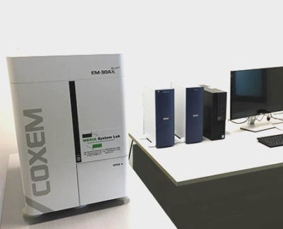 sem compatto-microscopia elettronica-microscopio elettronico a scansione-sem da banco-tabletop sem-coxem