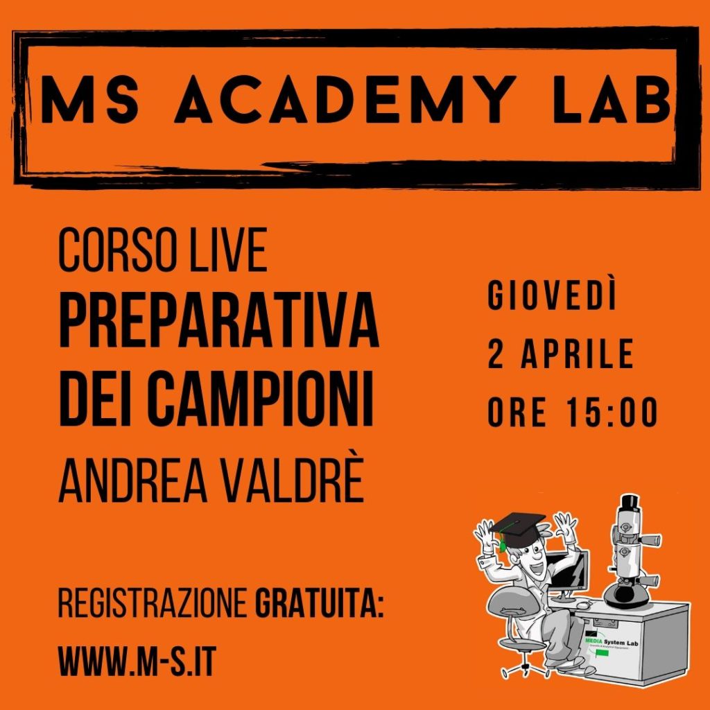 ms academy lab-corsi online-formazione professionale-formazione tecnica-corsi microscopia lettronica