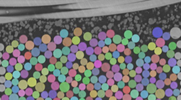 media cybernetics, mediacy, immagini, elaborazione di immagini, scienze dei materiali, scienze della vita, microscopia, imaging, AI, IA, Intelligenza artificiale, Machine learning