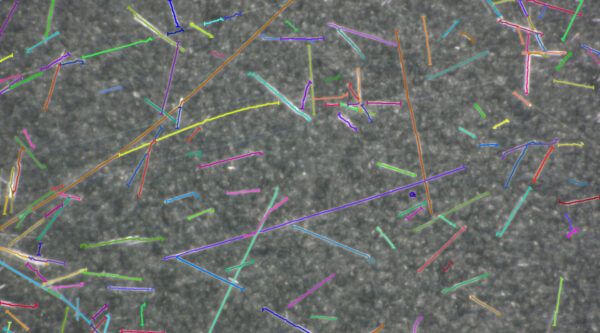 media cybernetics, mediacy, immagini, elaborazione di immagini, scienze dei materiali, scienze della vita, microscopia, imaging, AI, IA, Intelligenza artificiale, Machine learning