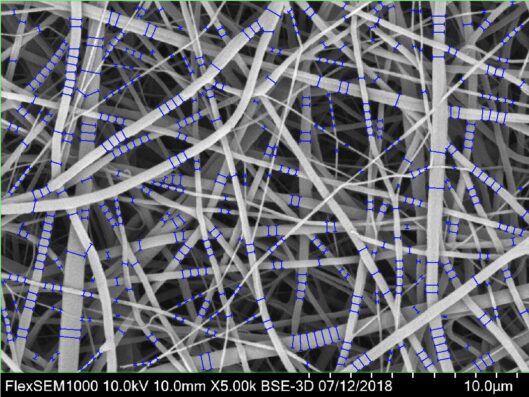 media cybernetics, mediacy, immagini, elaborazione di immagini, scienze dei materiali, scienze della vita, microscopia, imaging, AI, IA, Intelligenza artificiale, Machine learning
