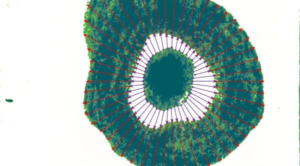 media cybernetics, mediacy, immagini, elaborazione di immagini, scienze dei materiali, scienze della vita, microscopia, imaging, AI, IA, Intelligenza artificiale, Machine learning