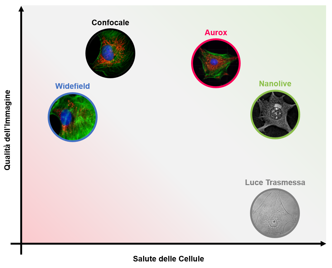 Video killed the imaging star Biology Diagrams