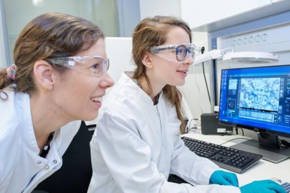 sem espereti di microscopia elettronica