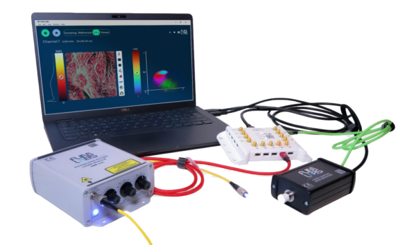 flim flim labs, fluorescence lifetime imaging microscopy