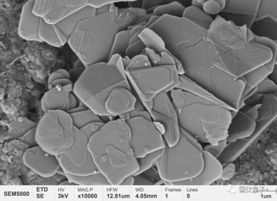 microscopia, microscopio elettronico, sem, sem feg, emissione di campo, ciqtek, sem5000