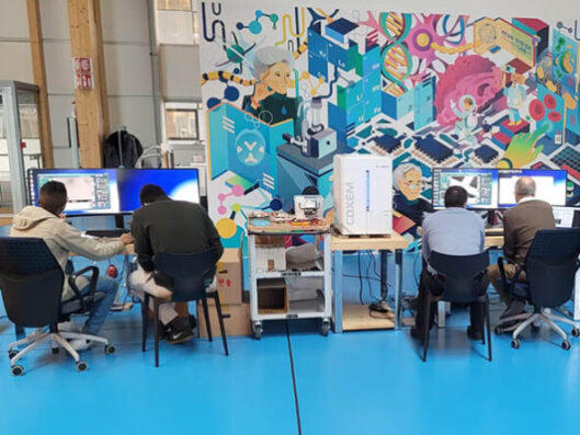 microscopia, corso sem, corso eds, preparatva de campioni, webinar, ms academy lab, corso microscopia elettrooniica, microoscopia, microscopi elettronici, formazione tecnica,