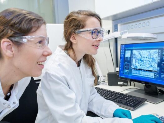 supporto remoto micrscpia elettronica, sem e tem. tescan, zeiss, thermo fisher, jeol, microscopia