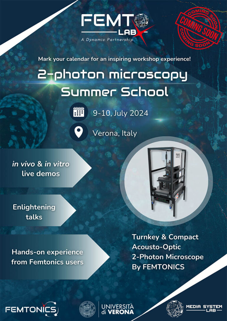 deu fotoni, micrsca, maging, organiodi, in vivo, femto, femtonics
