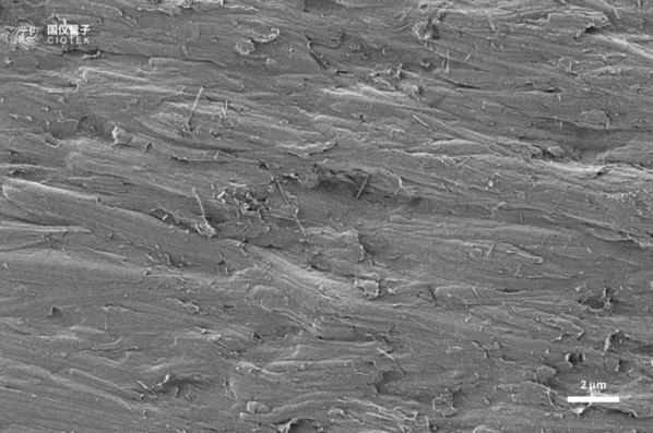 Superficie lucida della foglia di rame osservata al SEM CIQTEK SEM5000 a 2kV