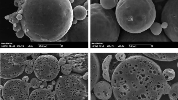 Studio della morfologia delle particelle di farmaci a rilascio prolungato con SEM e CP-8000.