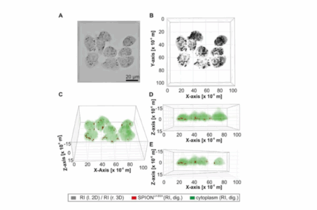 confronto con segnale a fluorescenza per rilevare nanoparticelle.