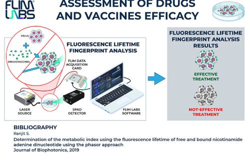 flim, flim labs