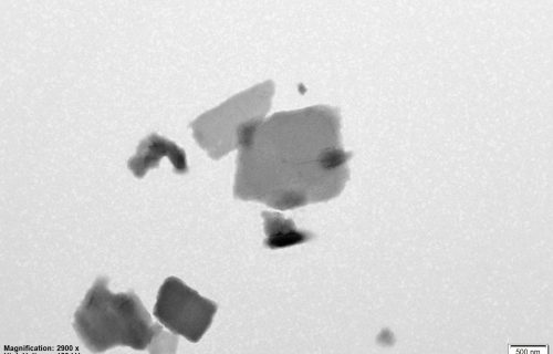 Catalase_Qedira_2900x_03 (1)_1