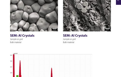 LVEM25E_Applications_brochure_web-5