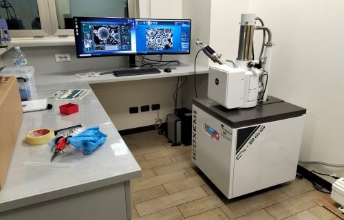 sem, microscopio elettronico  SCANSIONE