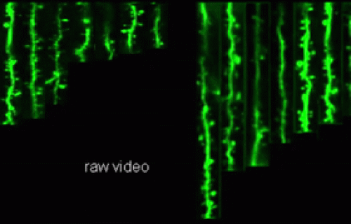 Fichier:Esposimetro fotografico con cellula al Selenio - Museo scienza  tecnologia Milano 09326 01.jpg — Wikilivres