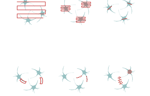 scanningmodes_DUAL