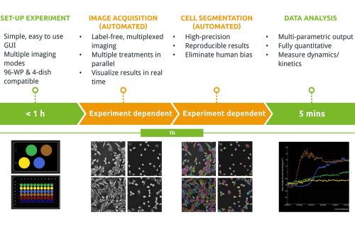 nanolive workflow live-cell imaging label free